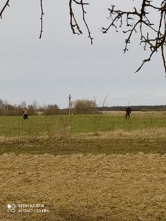 tmp-cam-4485002201591894665.jpg
