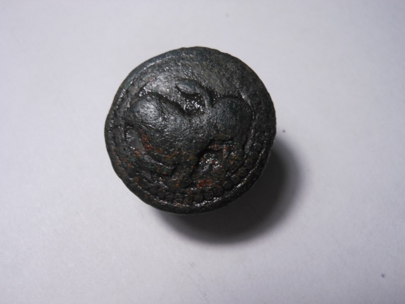 DSCN3069.JPG
