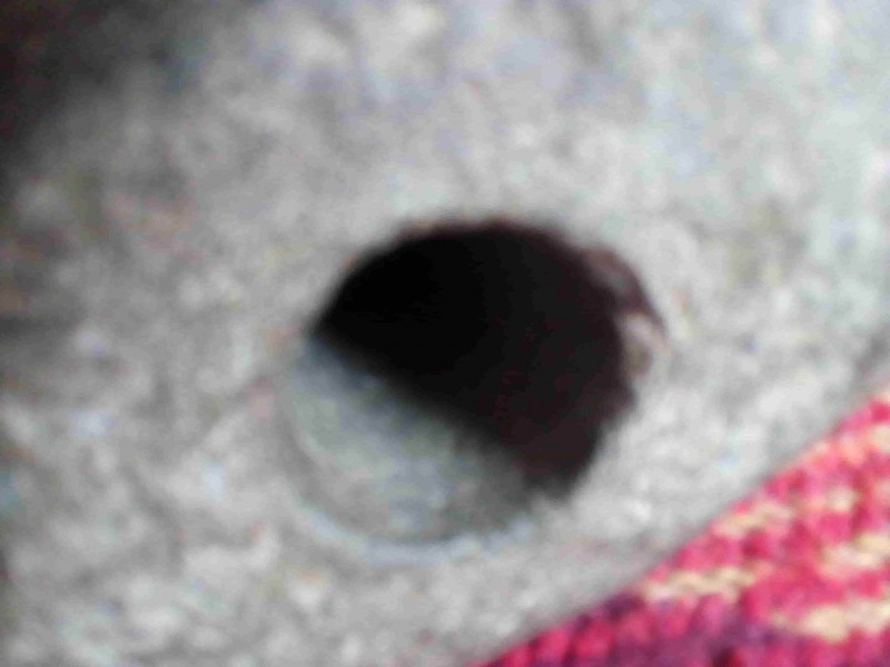 2020-05-30 12-42-00-min.JPG