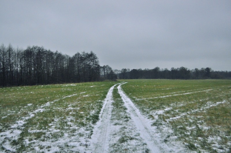 CSC_6249.JPG