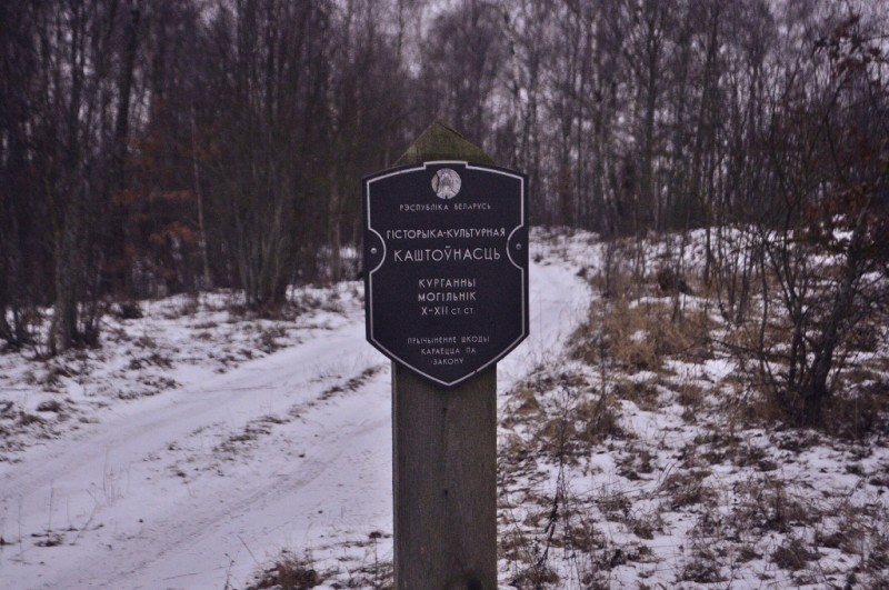 CSC_6251.JPG