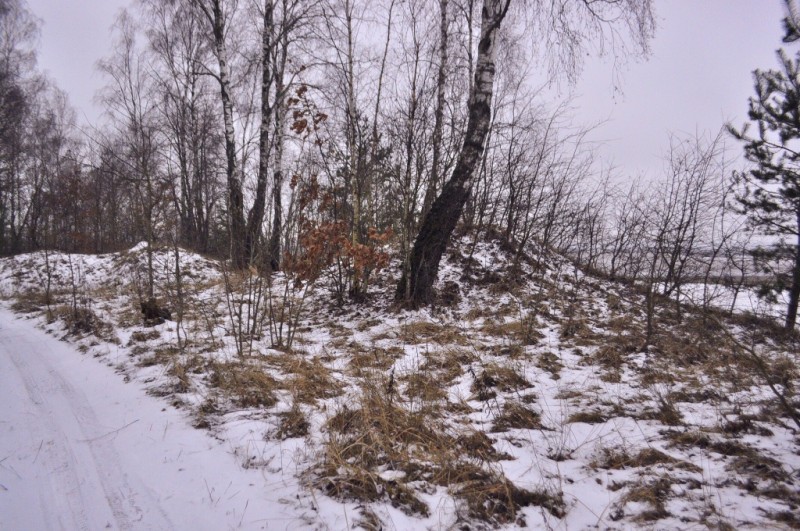 CSC_6253.JPG