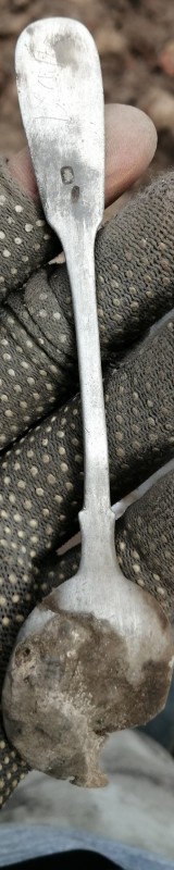 IMG_20200731_081318.jpg