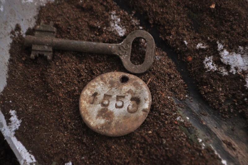 CSC_6297.JPG