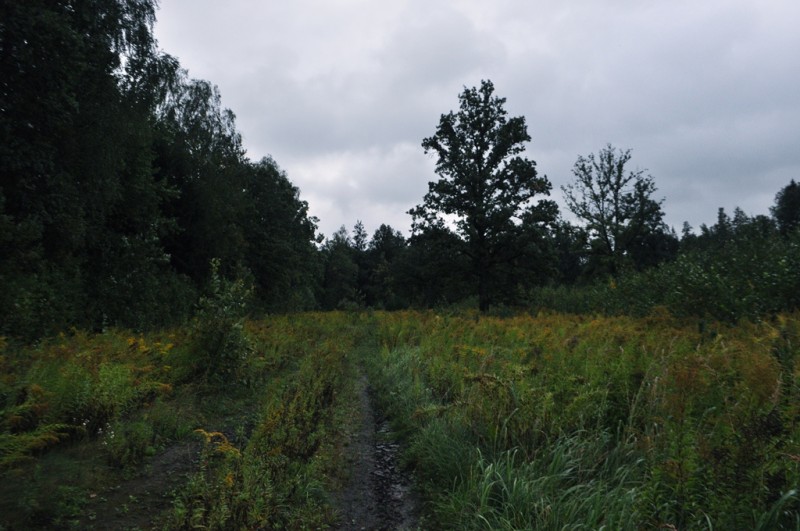 CSC_2378.JPG