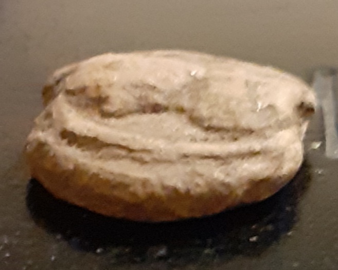 20200924_205714.jpg