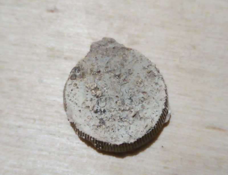 IMG_20201010_211432.jpg