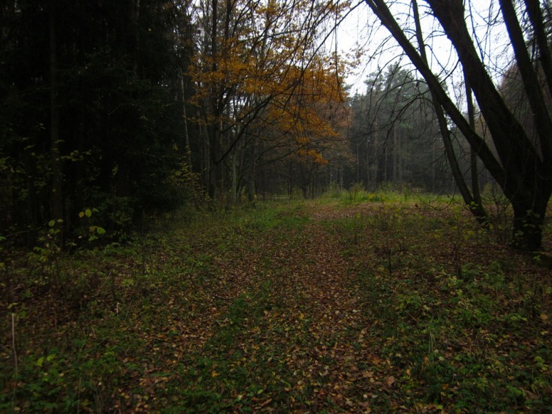 IMG_6336.JPG