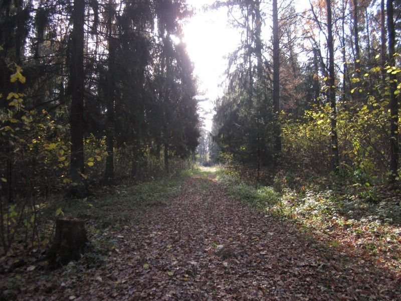 IMG_6387.JPG