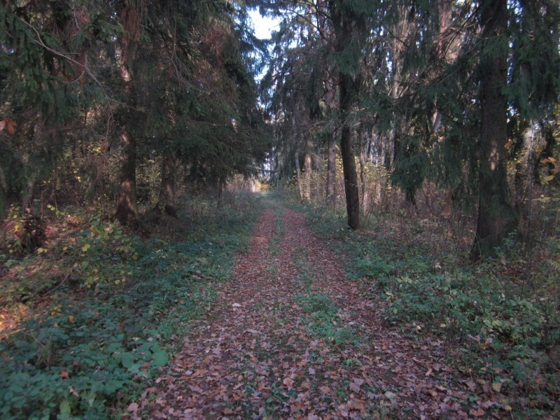 IMG_6390.JPG