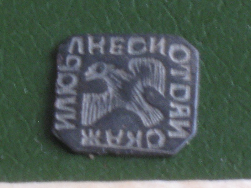 IMG_9631.JPG