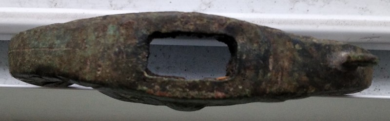 IMG_20201102_165853.jpg