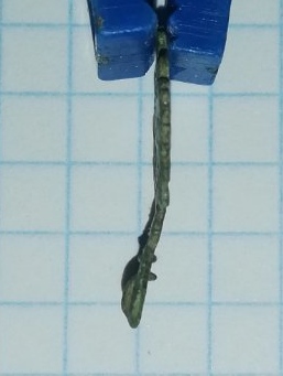 IMG_20201115_215026.jpg