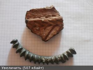 5609538m.jpg